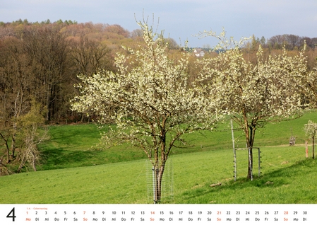 Kalender 2024 „Elfringhauser Schweiz"